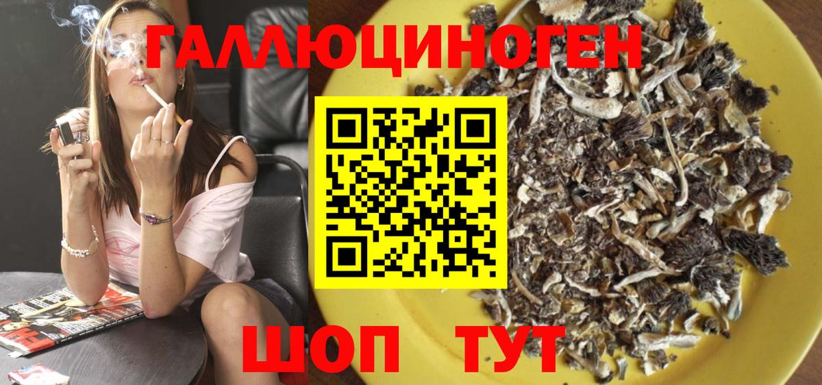 Псилоцибиновые грибы GOLDEN TEACHER Комсомольск-на-Амуре